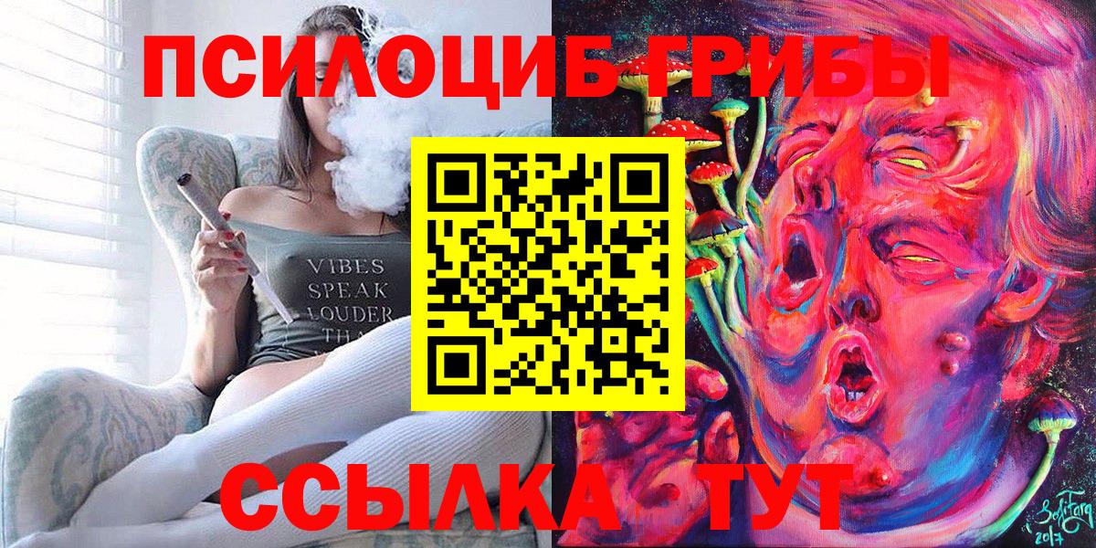 Сорочинск  Псилоцибиновые грибы Psilocybine cubensis  Вход с VPN  закладки  Псилоцибиновые грибы прущие грибы 